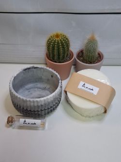 Recambio de vela ecológica de cera de soja | Vela reutilizable con mechas de madera