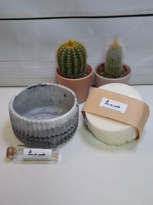 Recambio de vela ecológica de cera de soja | Vela reutilizable con mechas de madera